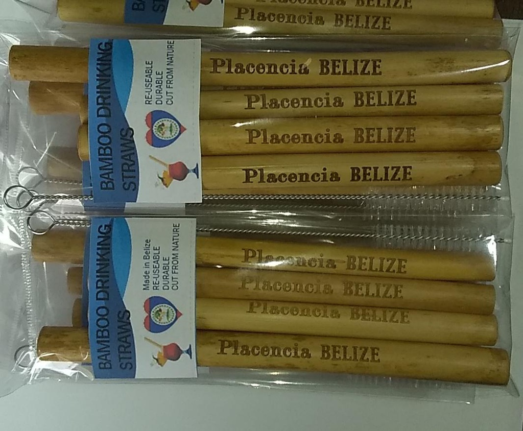Engraving of  Bamboo Straws (Set of 50)
