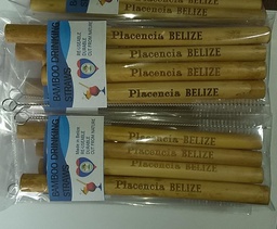 Engraving of  Bamboo Straws (Set of 50)